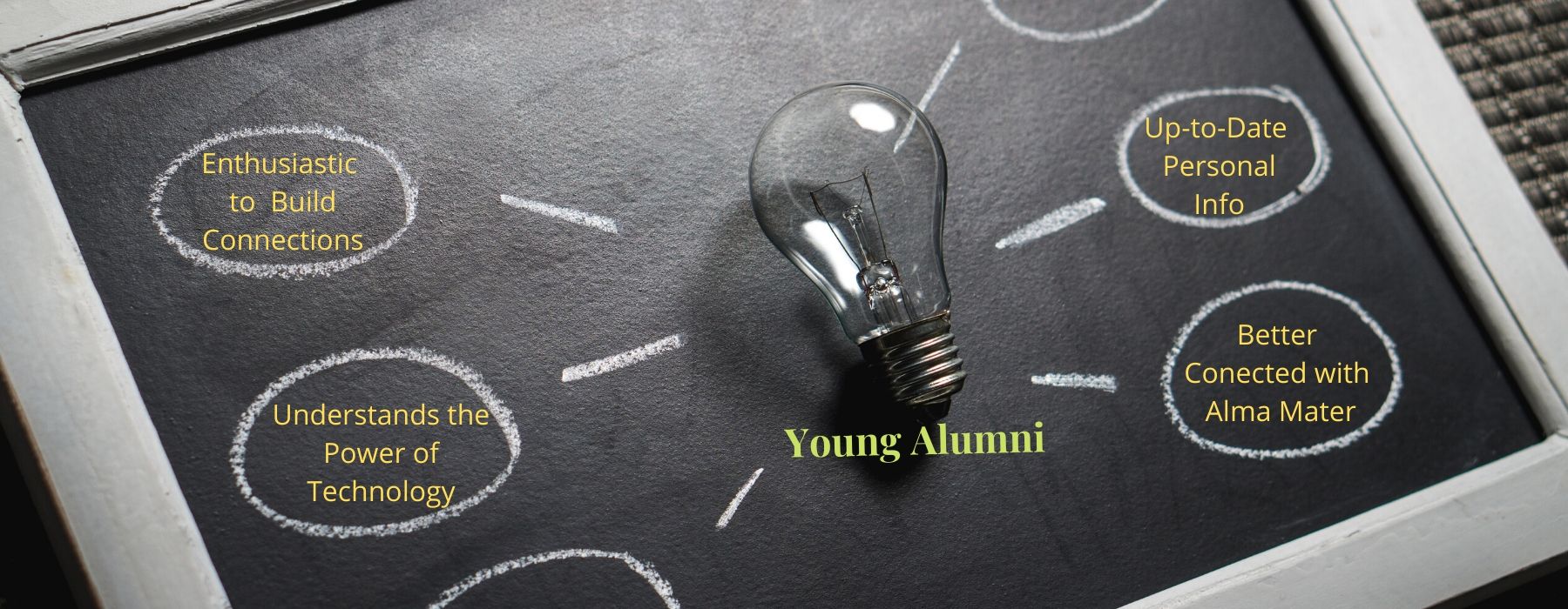 Factors to keep in mind while unleasing the power of Young Alumni